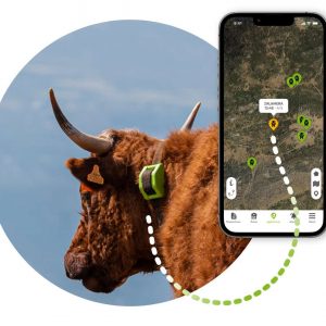 Localitzador GPS per vaques